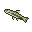 fishminnow.png