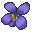 violets.png