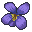 violets.png